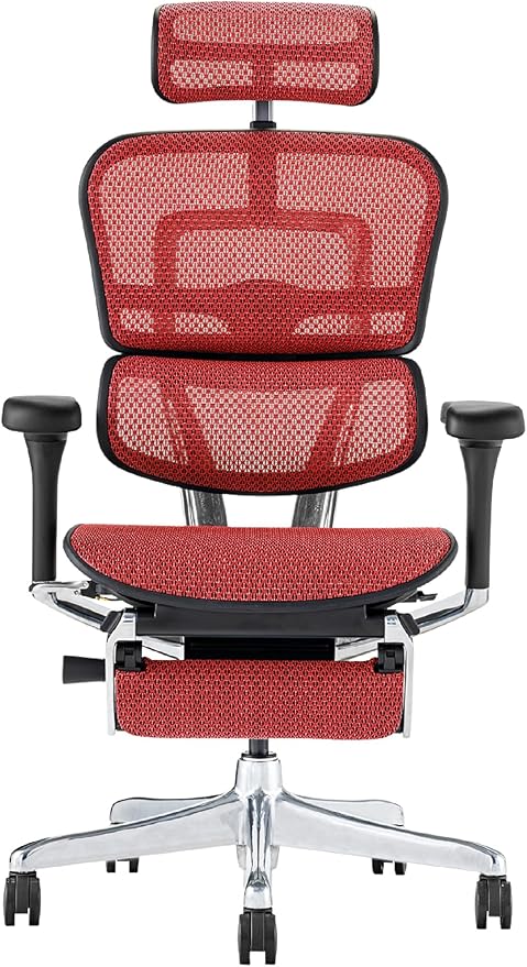 エルゴヒューマン Ergohuman PRO2 ottoman EHP2-LPL-DR-BF